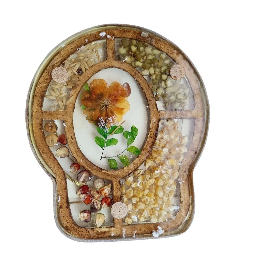 Vintage Lucite Acrylic Trivet‎ Pressed Flowers Lady Bug Beans Seeds Mid Century